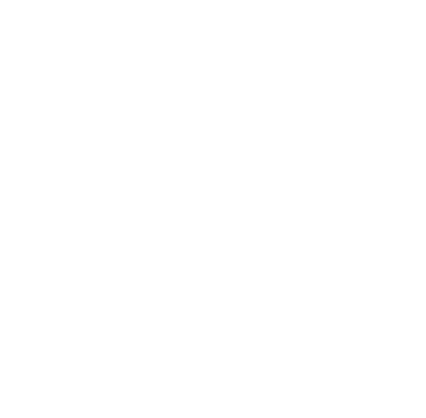 Body Essential Iron Vital Products - helps to restore inner vitality